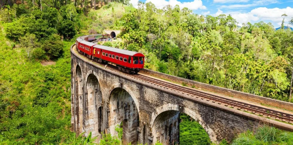 ella train