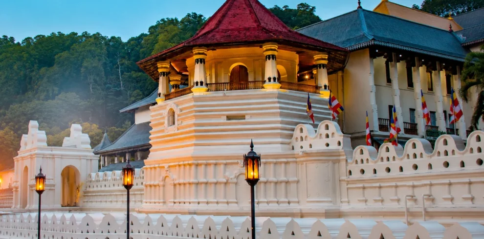 kandy temple of tooth relic loomra tours
