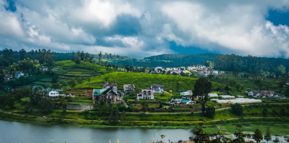 nuwara eliya loomra tours